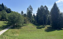 Fotos enviadas por los huéspedes de Alpe