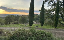 Fotos enviadas por los huéspedes de Podere Orietta