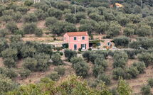 Fotos enviadas por los huéspedes de Il Terebinto (Imp427)