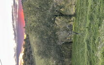 Fotos enviadas por los huéspedes de Sole nel Prato