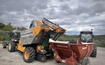 Fotos enviadas por los huéspedes de Sole nel Prato