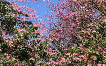 Fotos enviadas por los huéspedes de Torremolinos 27