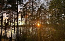 Fotos enviadas por los huéspedes de Metsä-Iivari