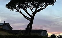 Fotos enviadas por los huéspedes de Antonia