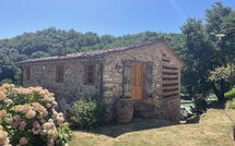 Fotos enviadas por los huéspedes de Bottino