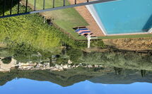 Fotos enviadas por los huéspedes de Uva