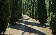 Fotos enviadas por los huéspedes de Podere Valcellino