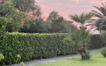 Fotos enviadas por los huéspedes de Cala Marina