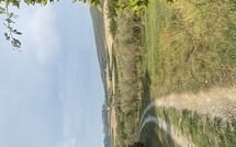 Fotos enviadas por los huéspedes de Cuccardino