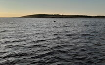 Fotos enviadas por los huéspedes de Rovere