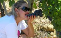 Fotos enviadas por los huéspedes de Podere Il Doccio