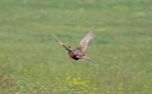 Fotos enviadas por los huéspedes de Podere Cunina