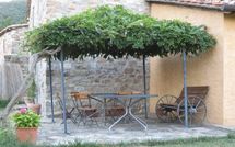 Fotos enviadas por los huéspedes de Casa la Primula