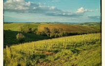 Fotos enviadas por los huéspedes de Villa San Filippo
