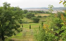 Fotos enviadas por los huéspedes de Villa Carolina