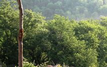 Fotos enviadas por los huéspedes de Fattoria Buonconvento