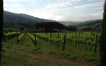 Fotos enviadas por los huéspedes de Montescalari