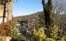 Fotos enviadas por los huéspedes de Villa Fabbroni - Fattoria San Polo