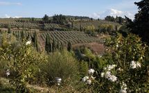 Fotos enviadas por los huéspedes de Borghetto