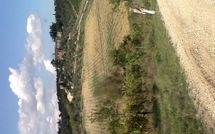 Fotos enviadas por los huéspedes de Villa Gallo Nero