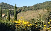 Fotos enviadas por los huéspedes de Villa Molinaccio