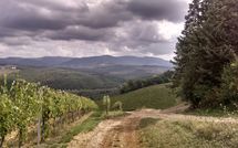 Fotos enviadas por los huéspedes de Tenuta