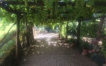 Fotos enviadas por los huéspedes de Palazzo Rosadi