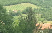 Fotos enviadas por los huéspedes de Palazzo Rosadi