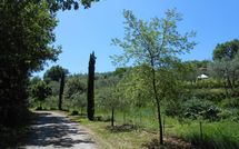 Fotos enviadas por los huéspedes de Podere San Bono