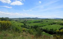 Fotos enviadas por los huéspedes de Podere San Bono