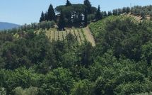 Fotos enviadas por los huéspedes de Villa Fabbiolle All'Impruneta