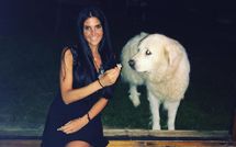 Fotos enviadas por los huéspedes de Villa Ardene