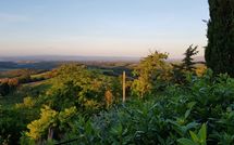 Fotos enviadas por los huéspedes de Giovanna Vacanze