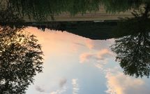 Fotos enviadas por los huéspedes de Il Pasqualino