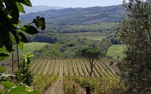 Fotos enviadas por los huéspedes de Cerretalta