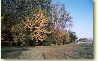 Rio Corso