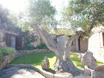 Alojamiento:&nbsp;La Bomboniera