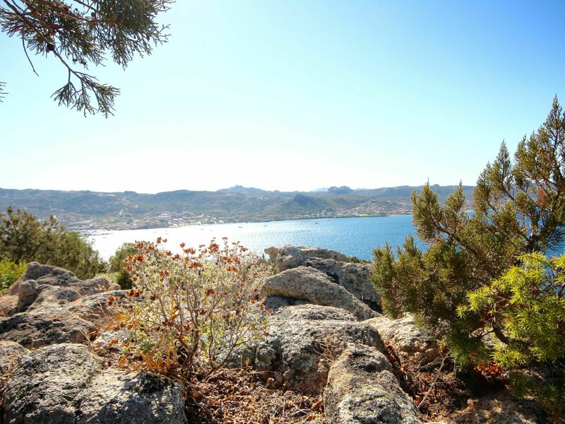 Alojamiento:&nbsp;La Bomboniera