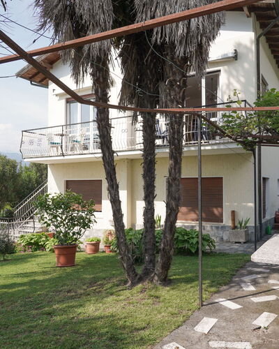 Il Gallo Nero