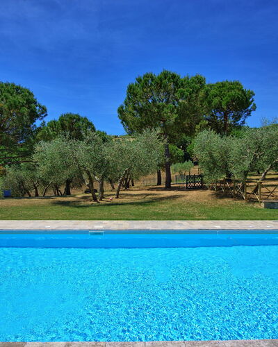 Casa Olivia