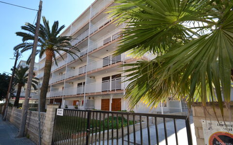 Flandria: Edificio, Tiempo De Día, Cielo, Planta, Árbol, Arecales, Cerca, Planta Terrestre, Diseño Urbano, Plantas Leñosas