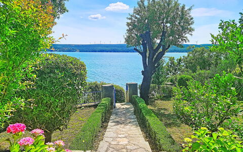Matal: Azul, Verde, Arbusto, Jardín, Mar, Primavera, Lago, Oceano, Costa, Reservorio