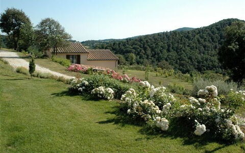 Villa Di Seripa: El Terreno Del Lote, Propiedad, Jardín, Planta, Hierba, Planta De La Comunidad, Arbusto, Árbol, Área Rural, Césped