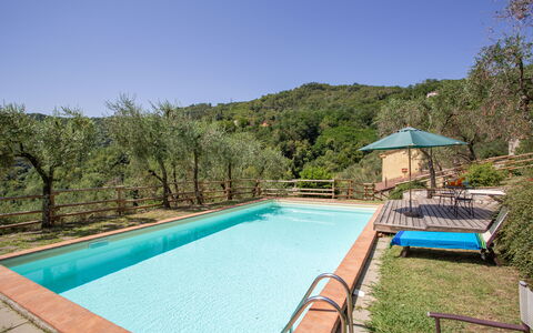 Villa Mastiano: Piscina, Propiedad, Bienes Raíces, Casa, Ocio, Inmuebles, Edificio, Vacaciones, Casa, Patio Interior