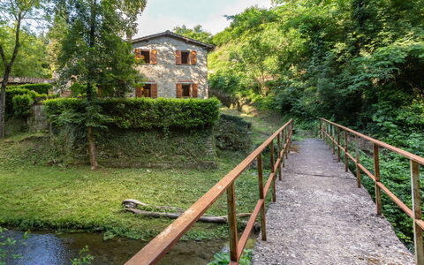 La Ripresa: Vegetación, Reserva Natural, Camino Acuático, Árbol, Río, Hierba, Casa, Área Rural, Corriente De Agua, Puente