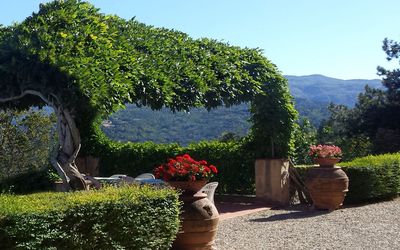 Villa Del Conte