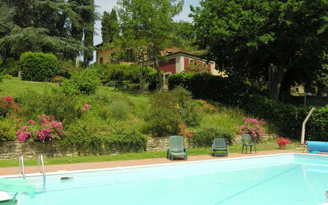 Villa i Cedri: Piscina, Propiedad, Ocio, Bienes Raíces, Barrio Residencial, Casa, Hierba, Árbol, Paisaje, Vacaciones