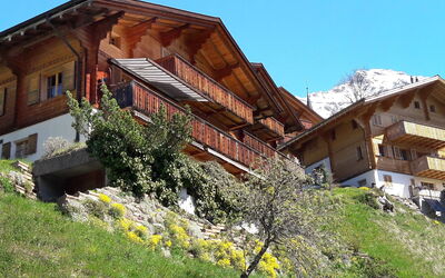 Bluemewäg Apt.r - Wengen, Berna, Suiza