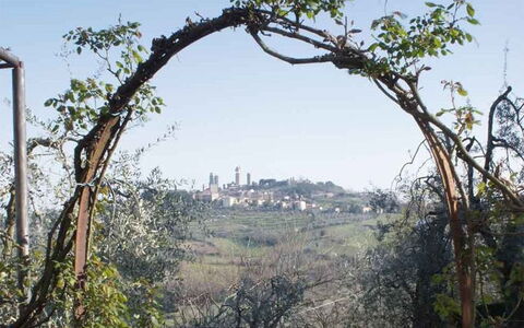 Agriturismo Paterno: Árbol, Arco, Planta, Arquitectura, Plantas Leñosas, Hierba, Rama, Paisaje, Klippe