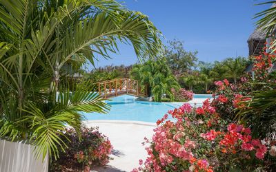 Swordfish Villas In Malindi: Propiedad, Recurso, Vegetación, Palmera, Árbol, Vacaciones, Piscina, Zona Tropical, Bienes Raíces, Arecales
